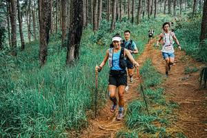 BIB: 
                            <button type="button" onclick="openModal(25660543)" class="btn btn-primary btn-sm float-right btn-popup" data-toggle="modal" data-target=".modal-high-quality">
                        <i class="fas fa-shopping-cart"></i> Add to Cart
                    </button>
                                            <button type="button" onclick="isThisMe(25660543, true)" class="btn btn-success btn-sm float-right btn-popup btn-isme hidden" data-toggle="tooltip" data-placement="bottom" title="นี่คือรูปของคุณใช่ไหม คลิกที่นี่เพื่อเอาเข้าอัลบั้ม">
                        <i class="fas fa-plus"></i> Add to album
                    </button>
                    <button type="button" onclick="isThisMe(25660543, false)" class="btn btn-warning btn-sm float-right btn-popup btn-isnotme hidden">
                        <i class="fas fa-ban"></i> Remove from album
                    </button>